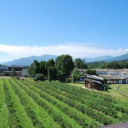 Bibiana Agriturismo Il Frutto Permesso מראה חיצוני תמונה