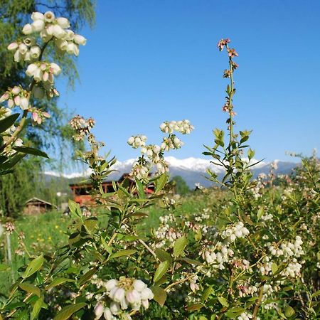 Bibiana Agriturismo Il Frutto Permesso מראה חיצוני תמונה