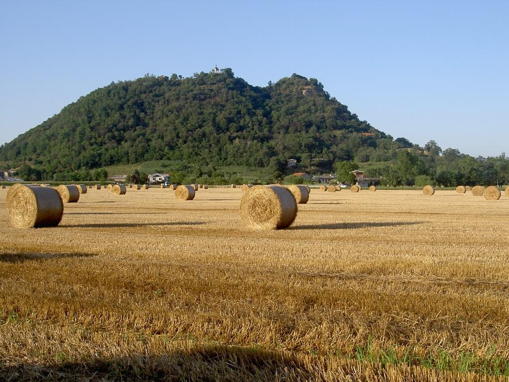 Bibiana Agriturismo Il Frutto Permesso מראה חיצוני תמונה