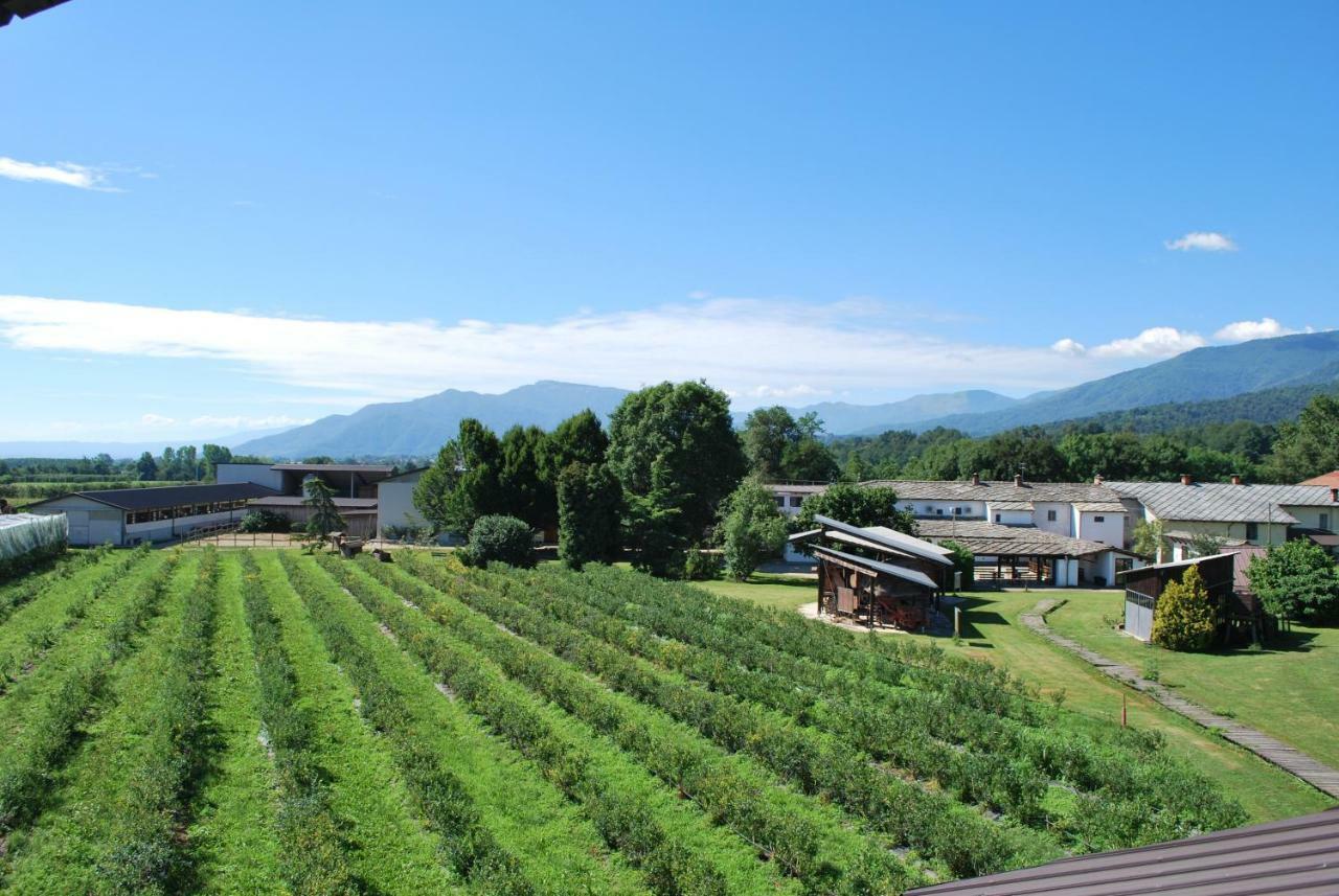 Bibiana Agriturismo Il Frutto Permesso מראה חיצוני תמונה