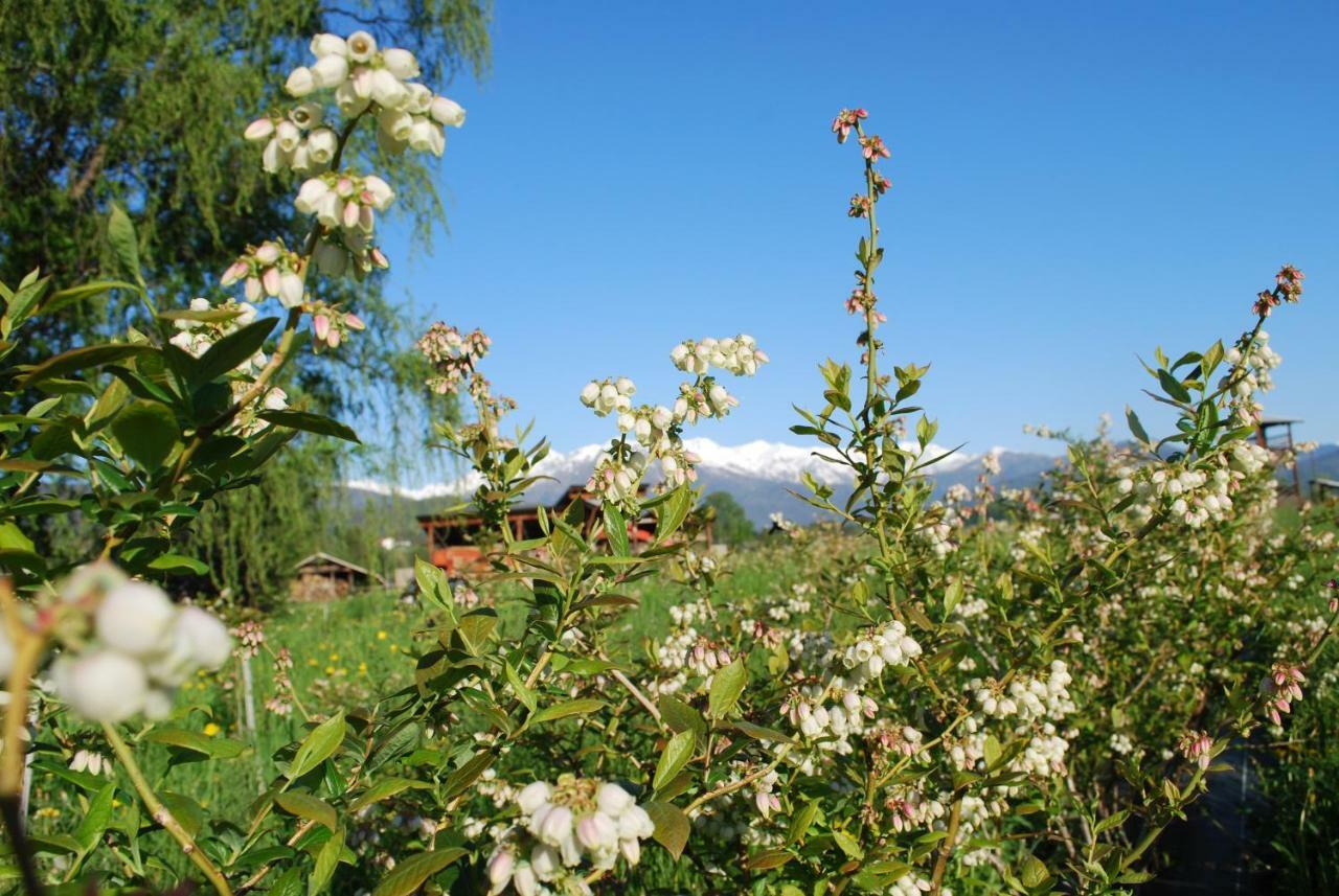 Bibiana Agriturismo Il Frutto Permesso מראה חיצוני תמונה