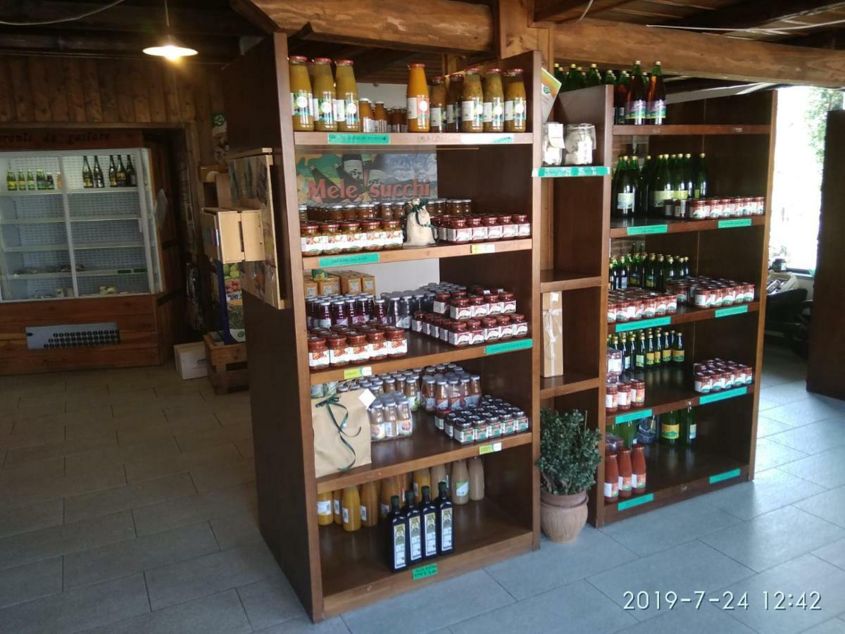 Bibiana Agriturismo Il Frutto Permesso מראה חיצוני תמונה